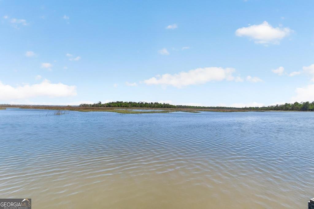 5640 Harrietts Bluff Road Woodbine - Photo 38