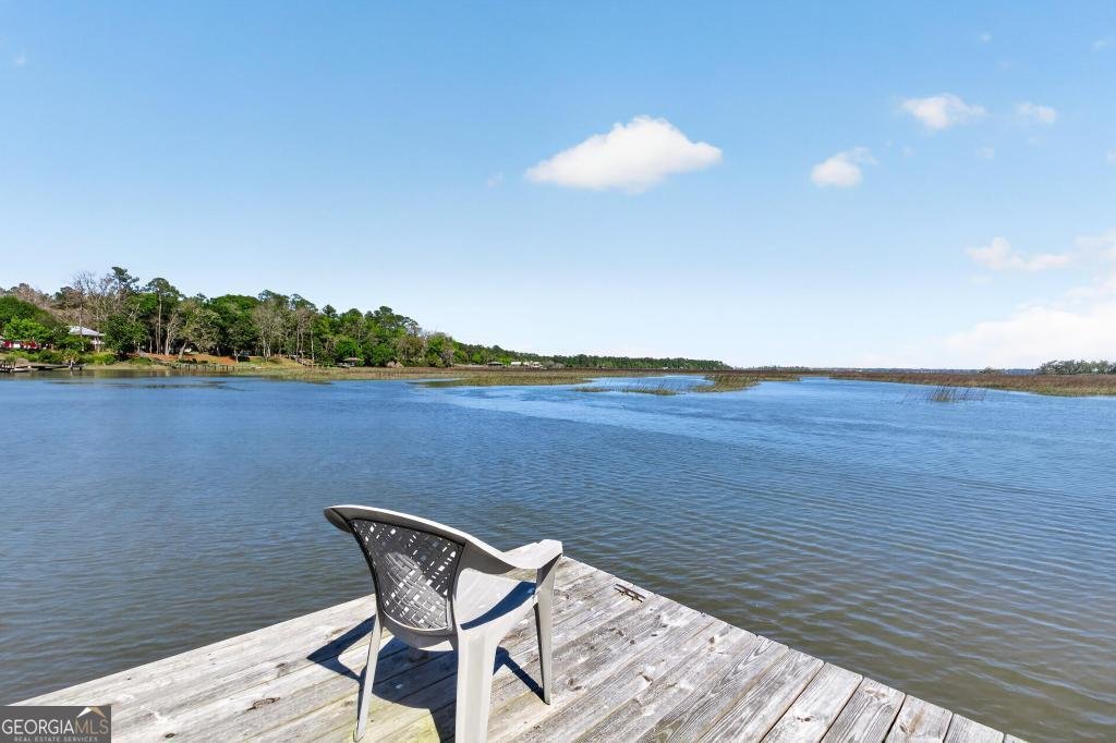 5640 Harrietts Bluff Road Woodbine - Photo 39