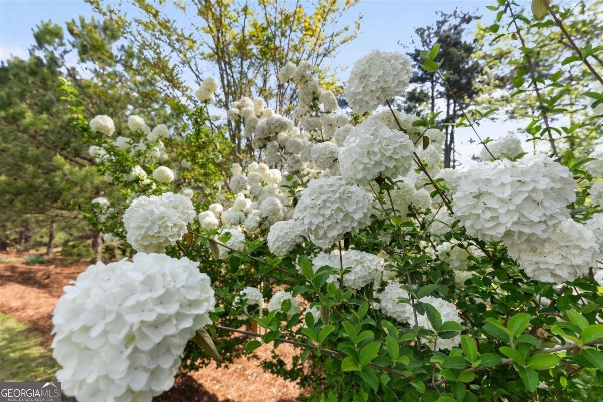 1070 Carnoustie Drive Greensboro - Photo 51