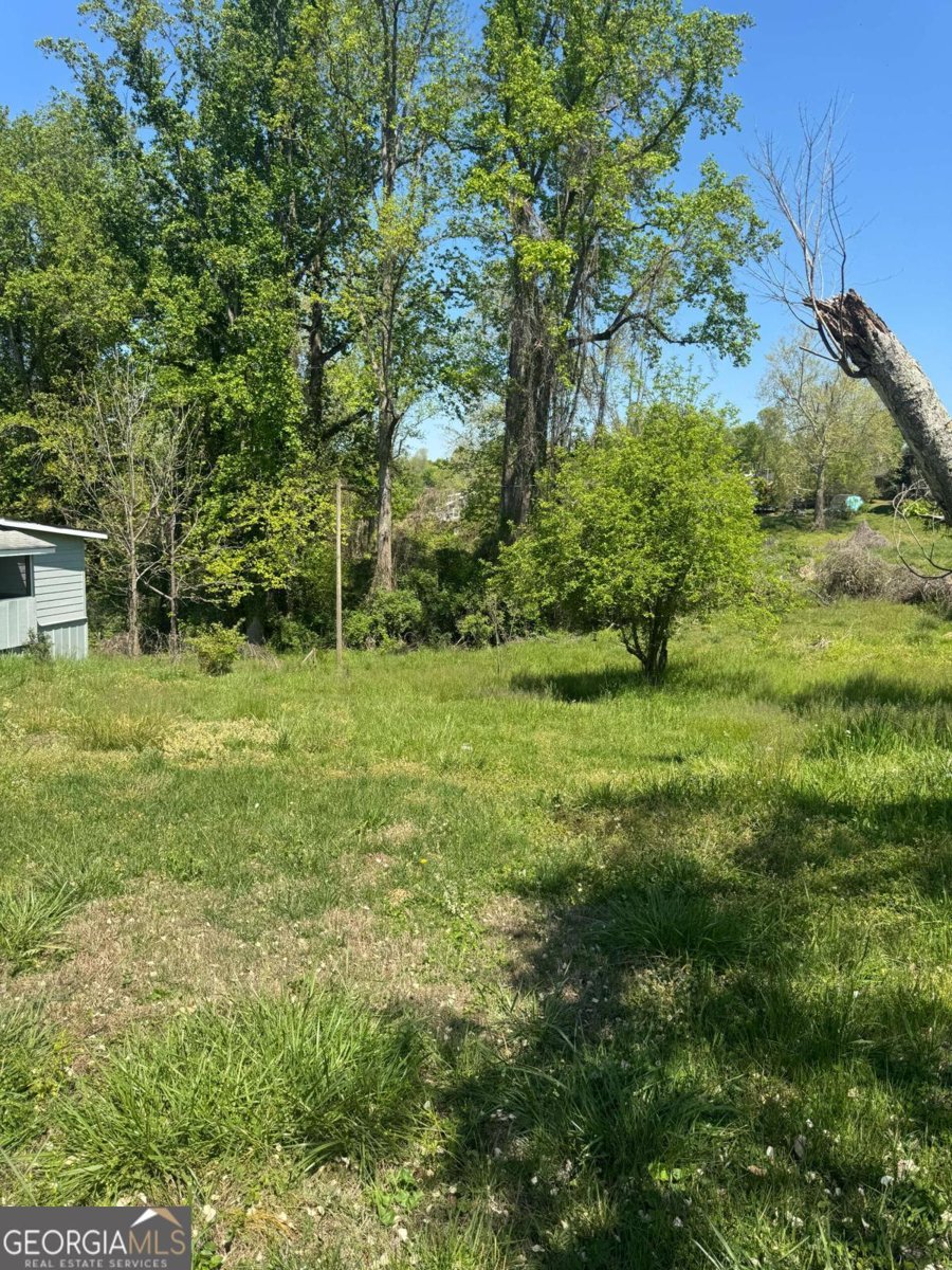 165 Cherokee Avenue Ball Ground - Photo 10