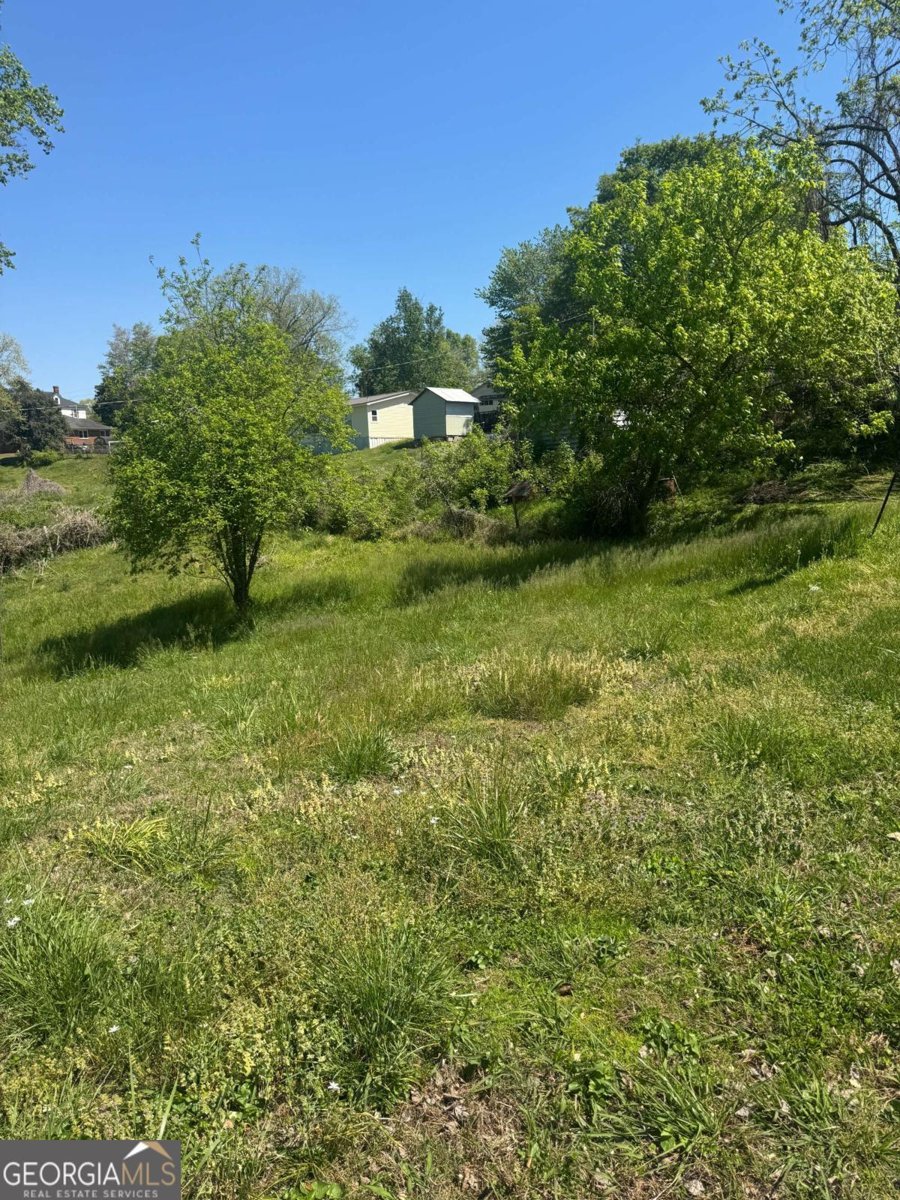 165 Cherokee Avenue Ball Ground - Photo 11