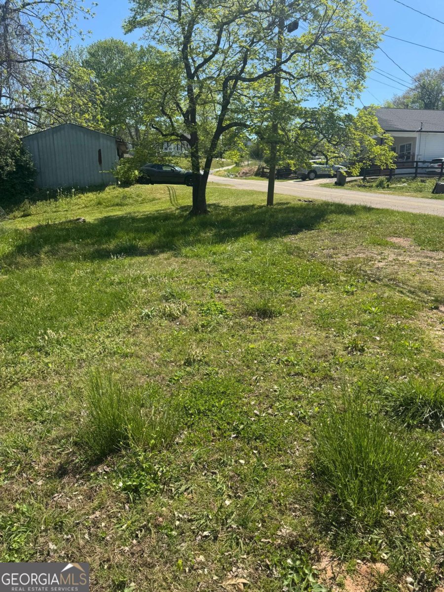 165 Cherokee Avenue Ball Ground - Photo 12