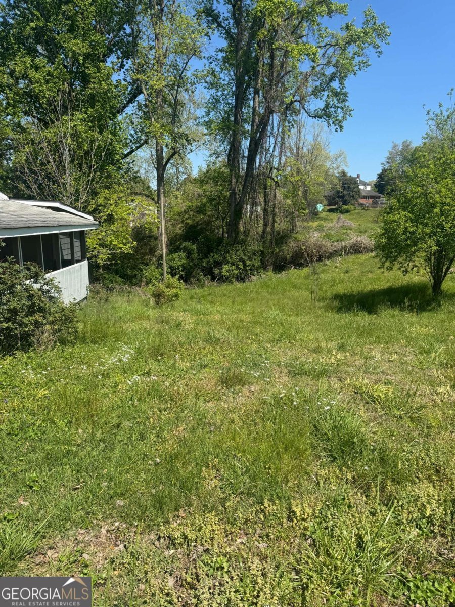 165 Cherokee Avenue Ball Ground - Photo 13