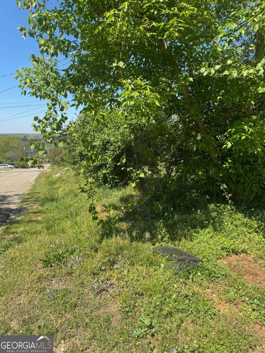 165 Cherokee Avenue Ball Ground - Photo 28