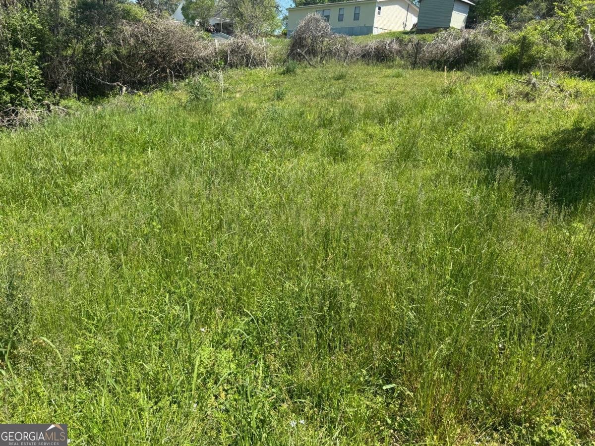 165 Cherokee Avenue Ball Ground - Photo 6