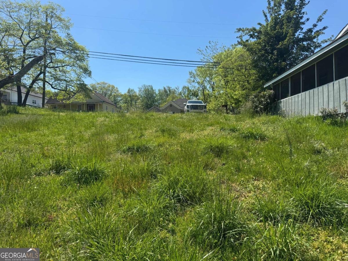 165 Cherokee Avenue Ball Ground - Photo 7