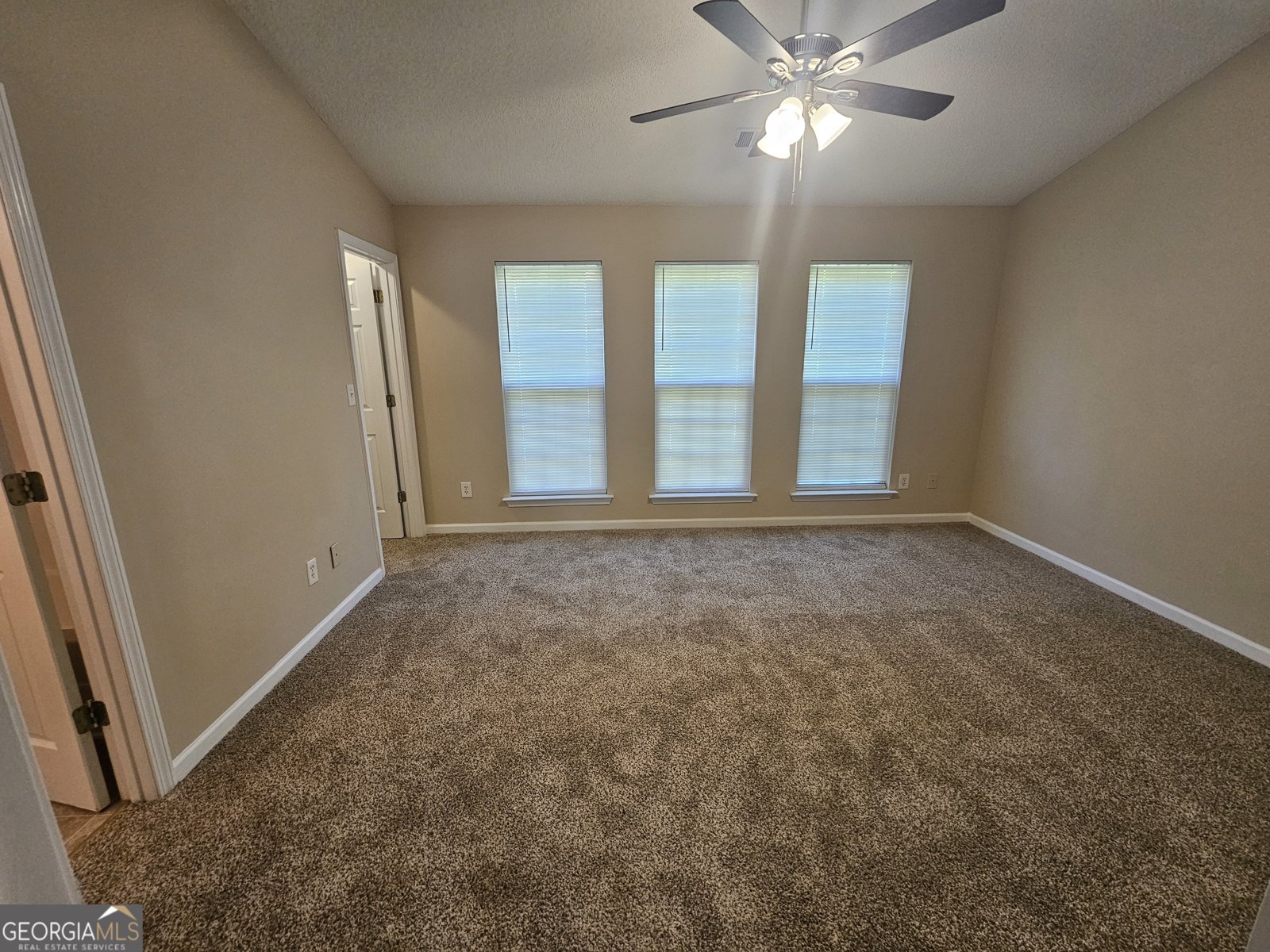 300 Chase Lane McDonough - Photo 19