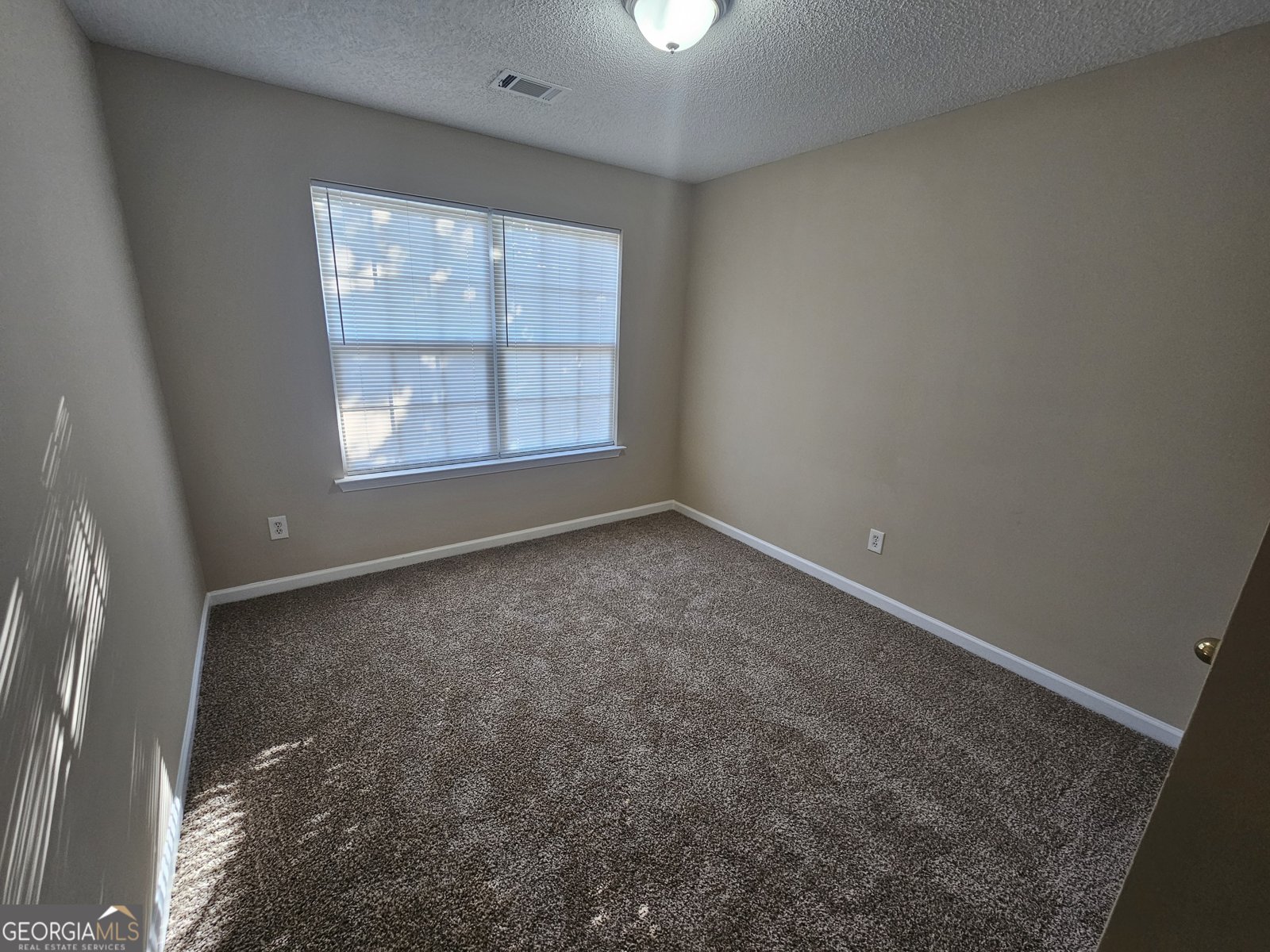 300 Chase Lane McDonough - Photo 29