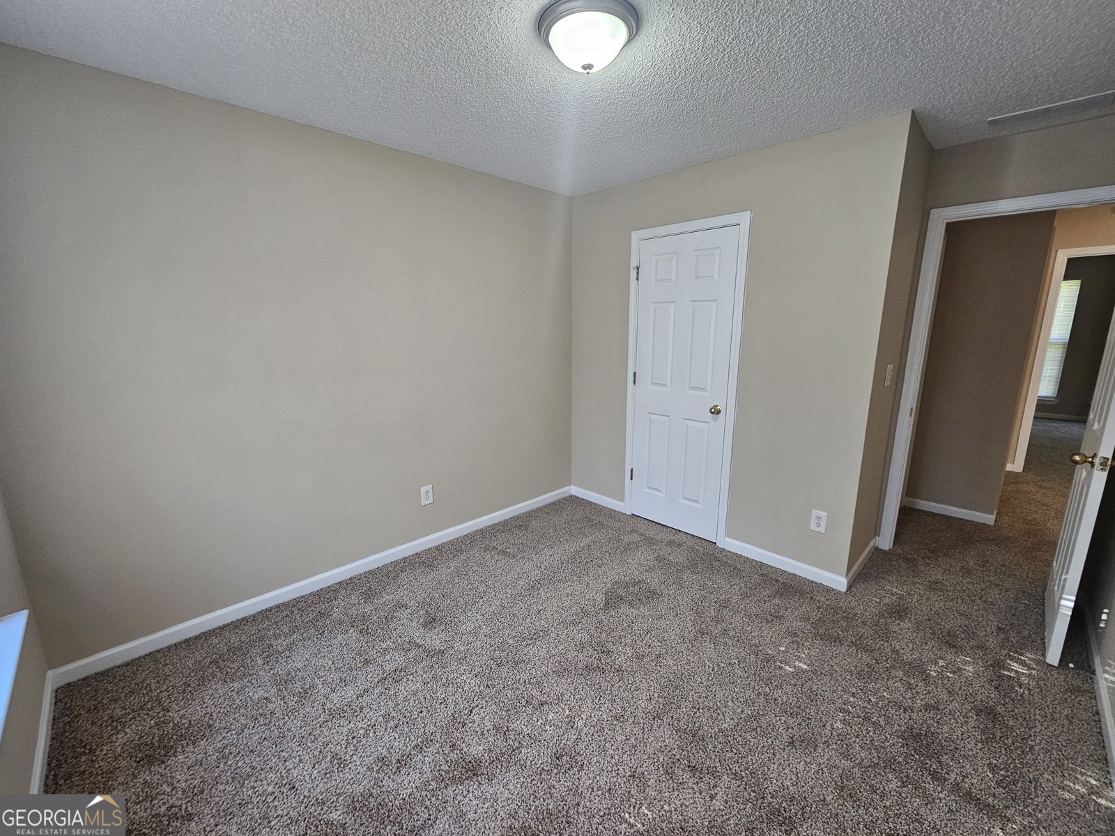 300 Chase Lane McDonough - Photo 30