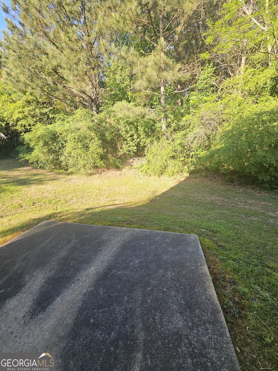 300 Chase Lane McDonough - Photo 40