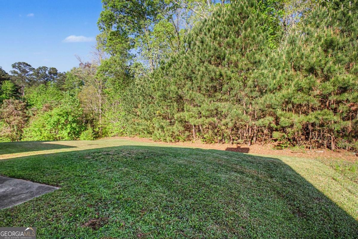 6114 Citico River Lane Union City - Photo 30