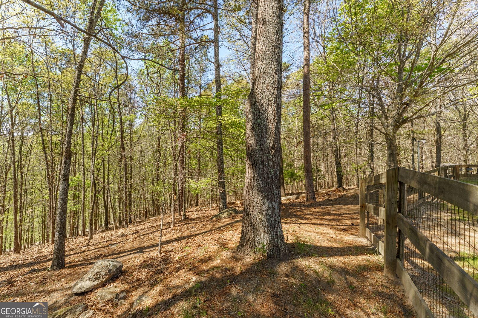 774 Weller Path Sugar Hill - Photo 42