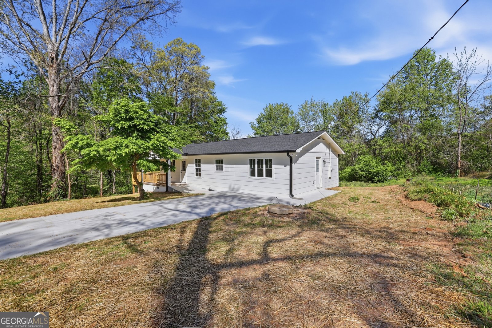 165 Pearl Street Clarkesville - Photo 30