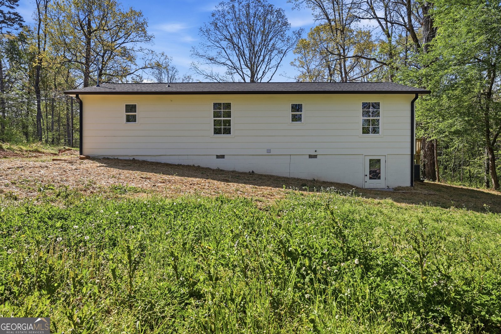 165 Pearl Street Clarkesville - Photo 37