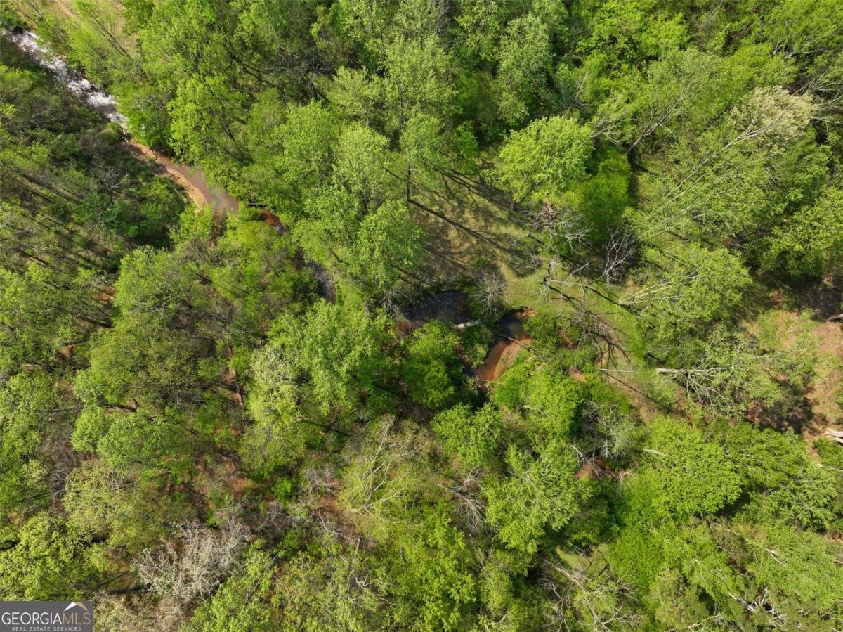 2982 Rivercrest Drive Gainesville - Photo 64