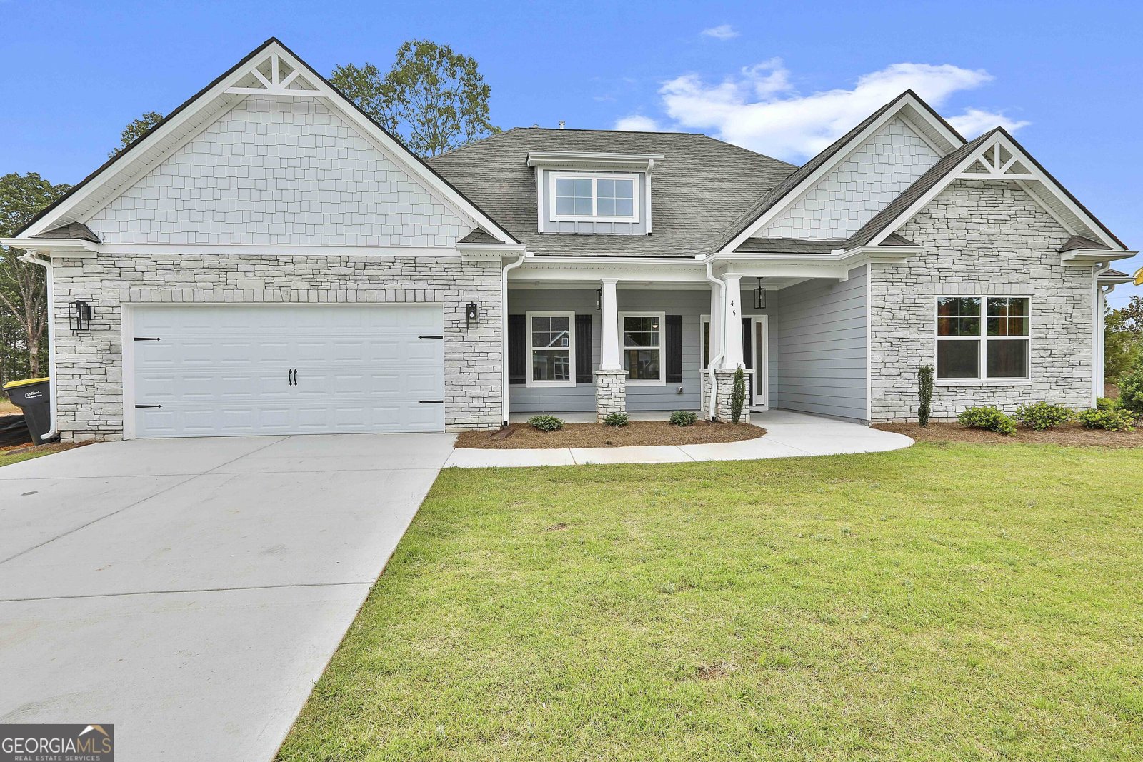 45 Cushing Street Senoia - Photo 1