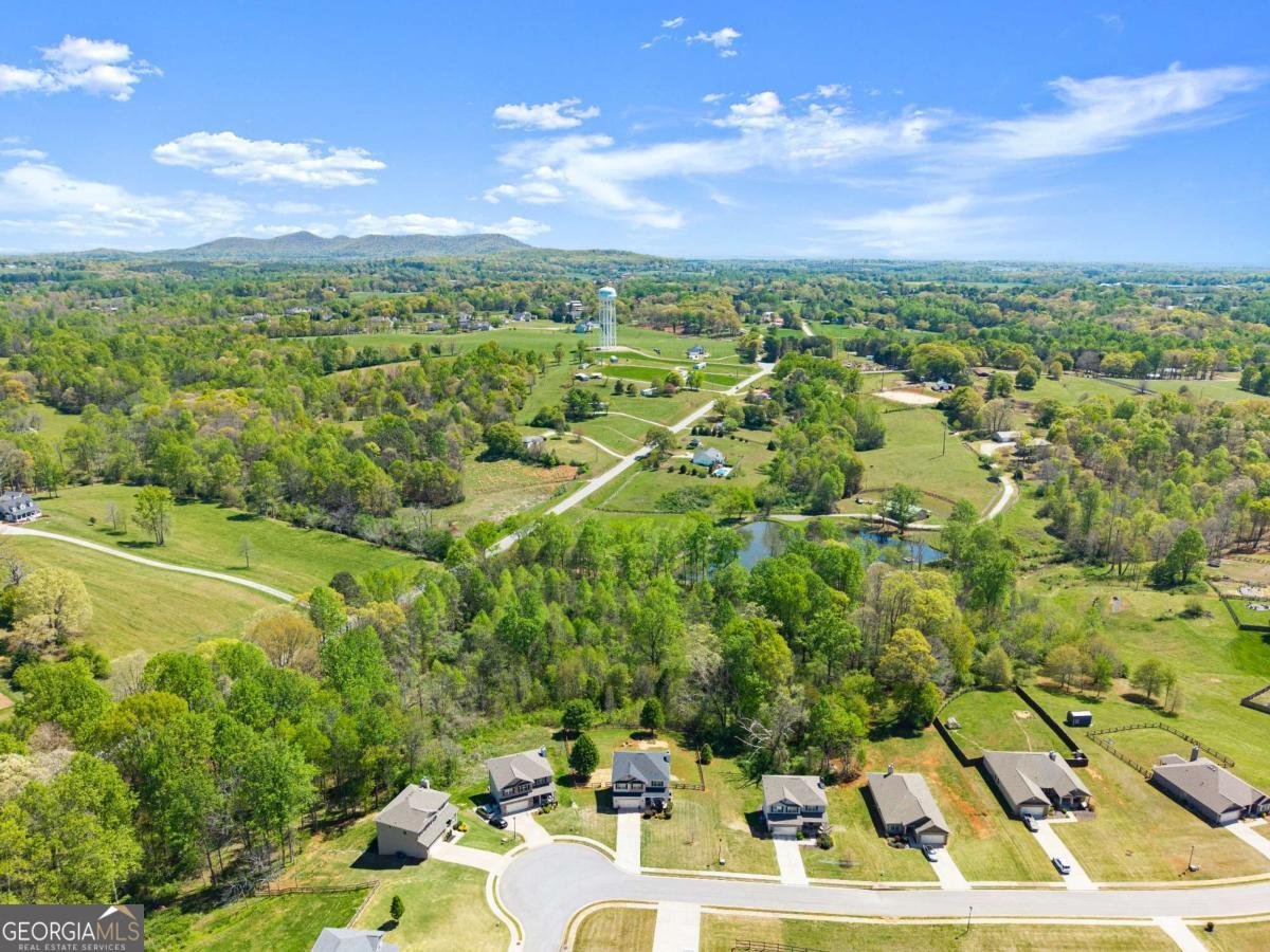 6064 Creekside View Lane Clermont - Photo 52