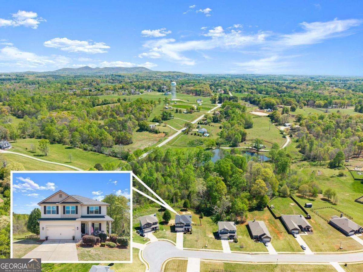 6064 Creekside View Lane Clermont - Photo 53