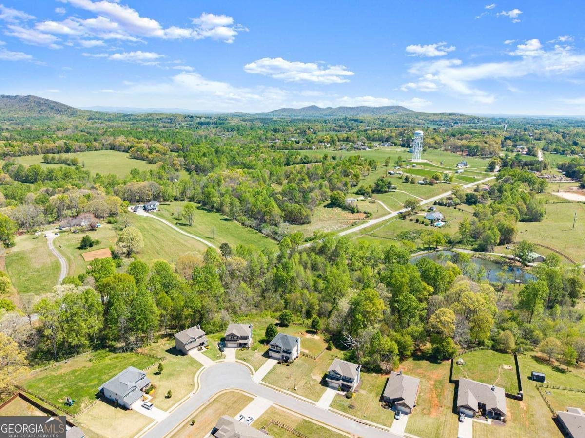 6064 Creekside View Lane Clermont - Photo 54