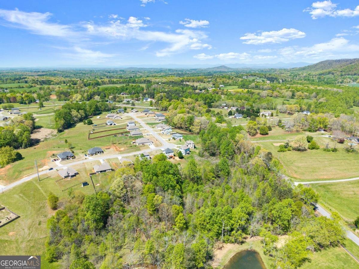 6064 Creekside View Lane Clermont - Photo 55