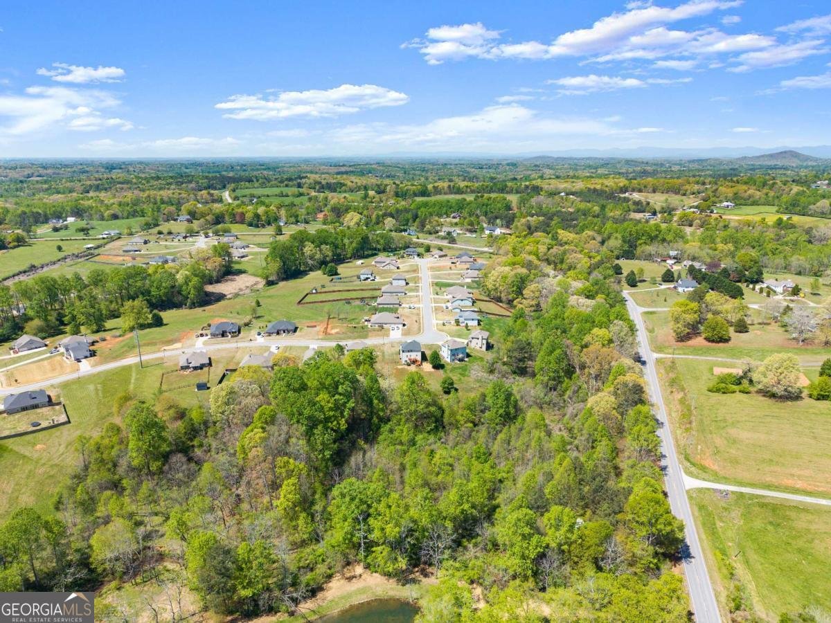 6064 Creekside View Lane Clermont - Photo 56