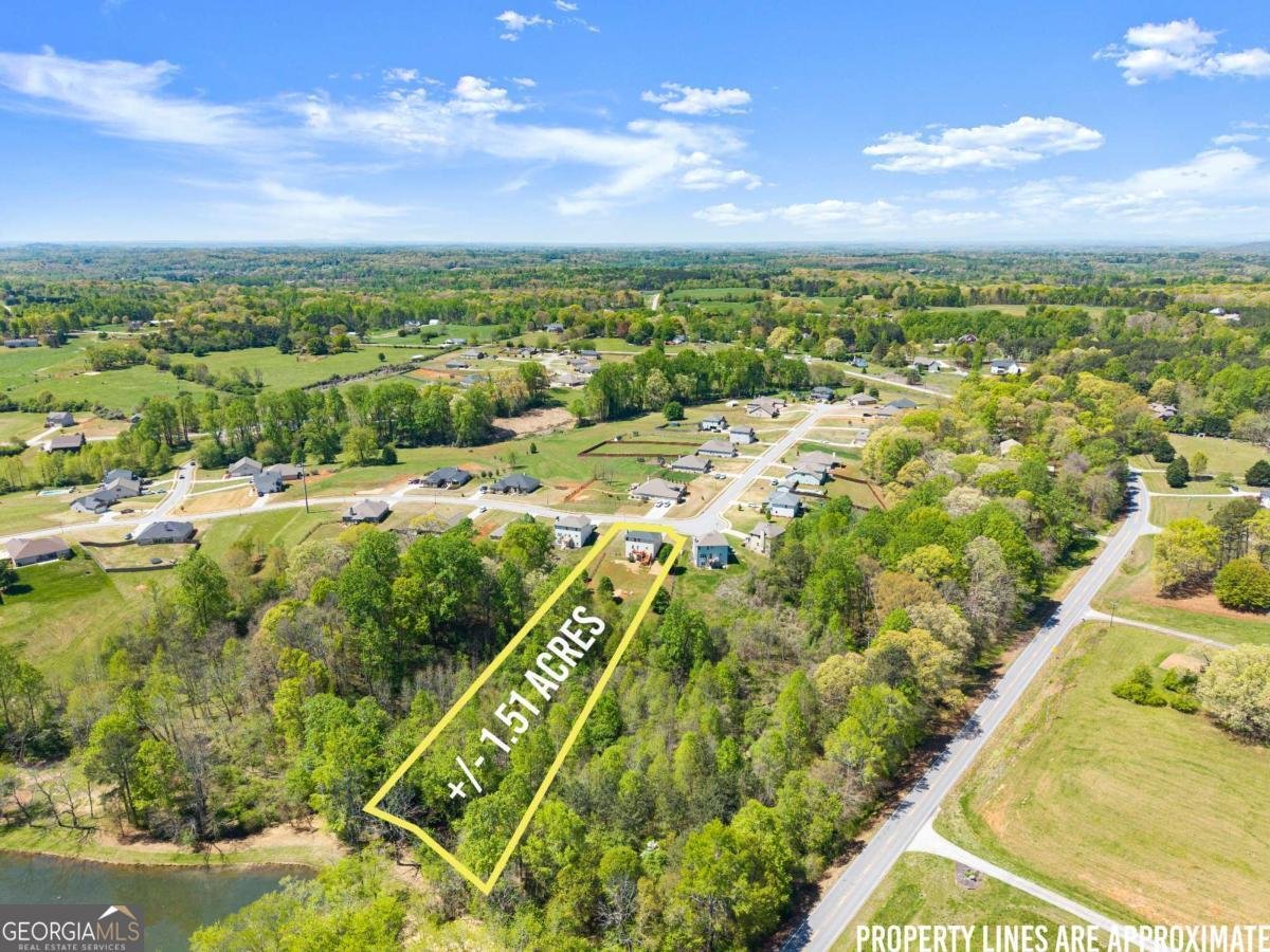 6064 Creekside View Lane Clermont - Photo 57