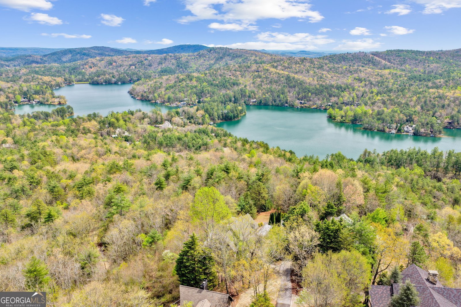 1171 Rabun Bluffs Drive Lakemont - Photo 74