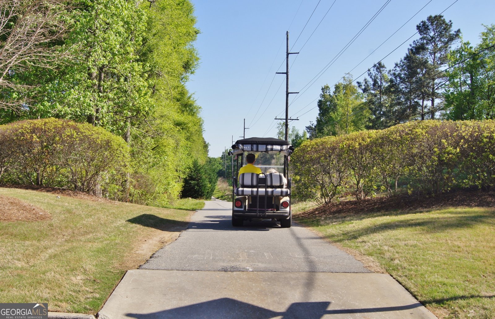 100 Centennial Drive Peachtree City - Photo 88