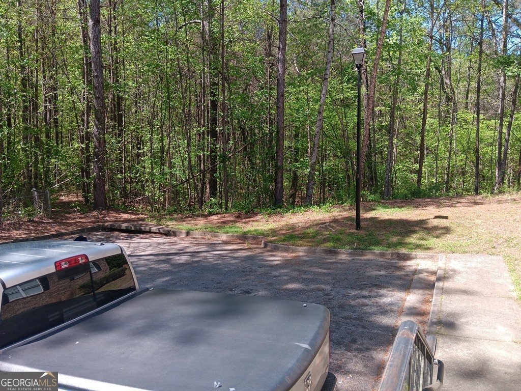 3229 Fairington Drive Lithonia - Photo 45