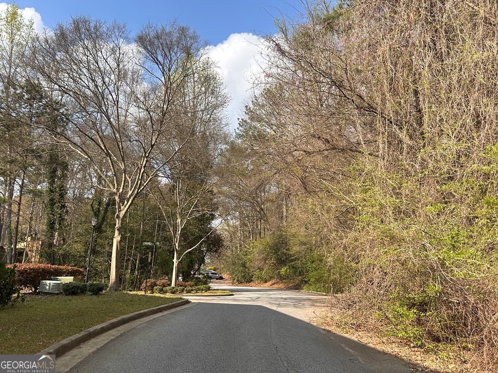 3229 Fairington Drive Lithonia - Photo 46