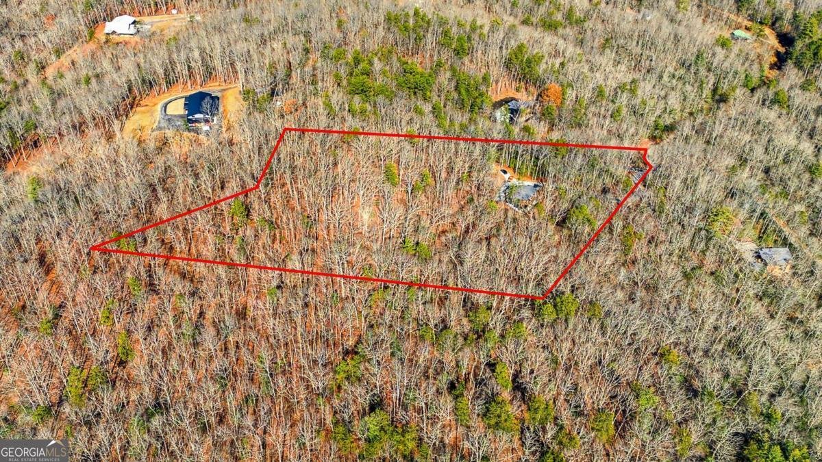 221 Gold Mine Road Morganton - Photo 18