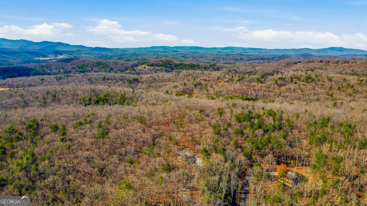 221 Gold Mine Road Morganton - Photo 50