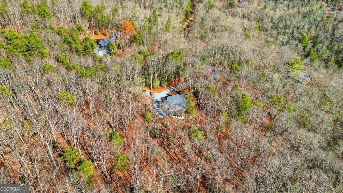 221 Gold Mine Road Morganton - Photo 53