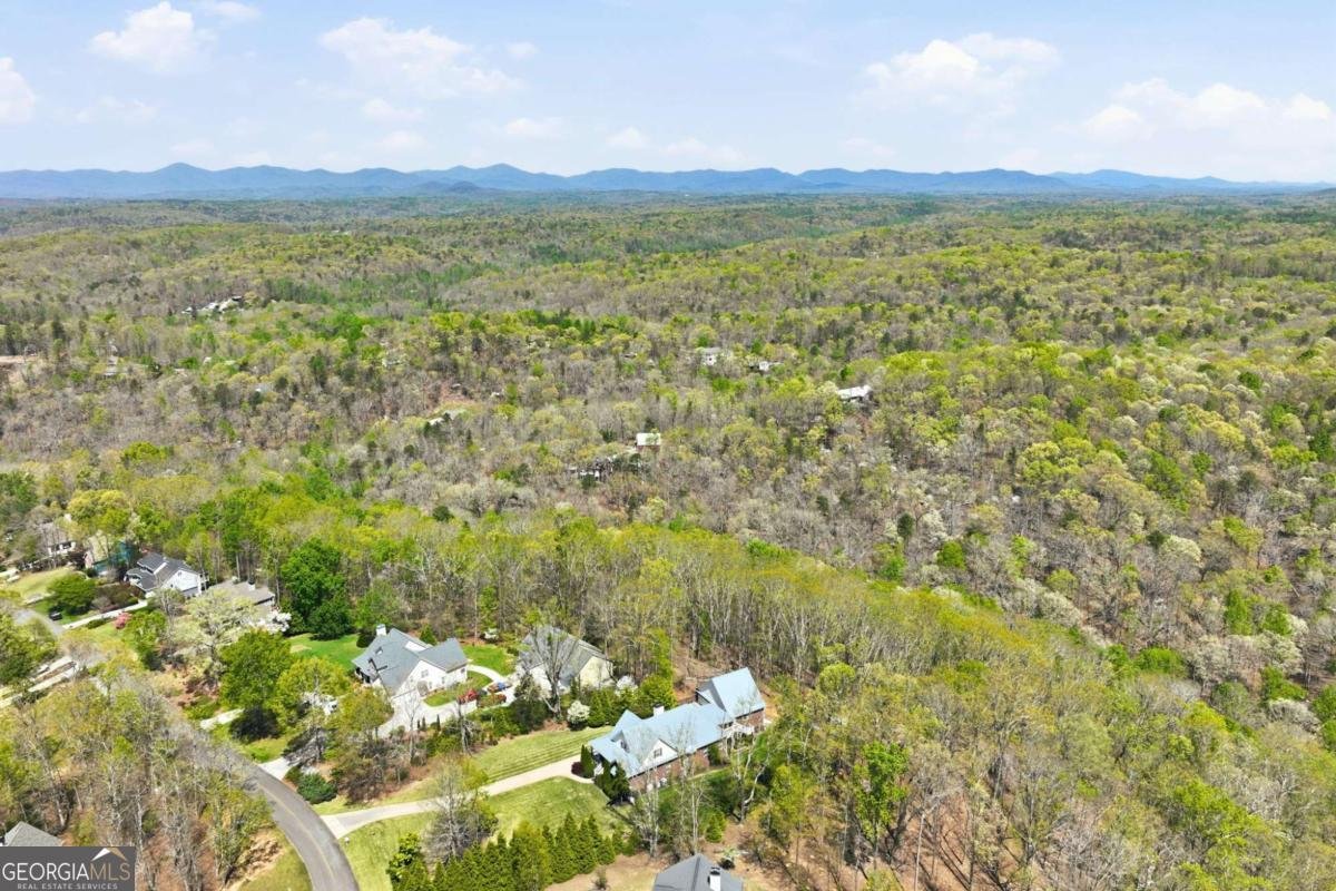 139 Buckeye Ridge Dahlonega - Photo 42