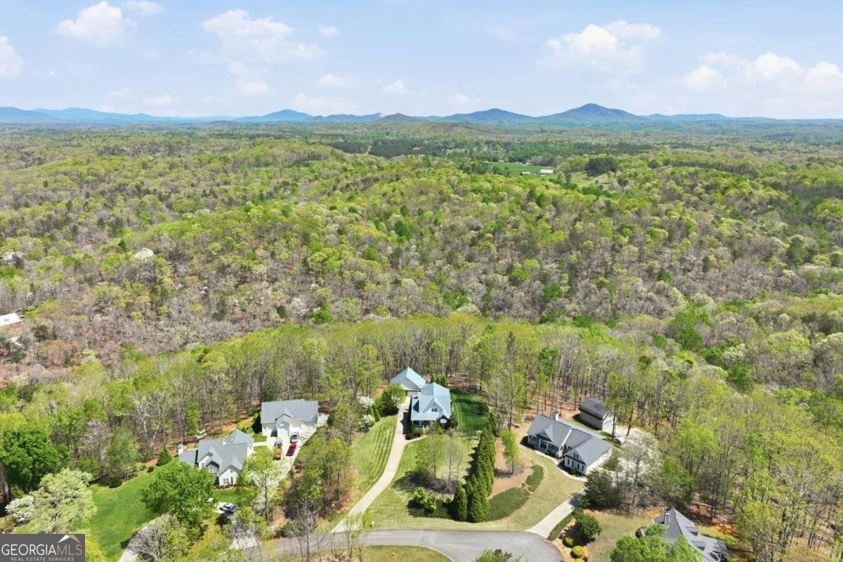 139 Buckeye Ridge Dahlonega - Photo 43