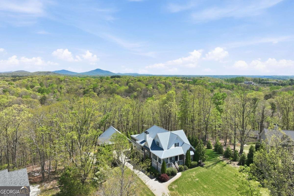 139 Buckeye Ridge Dahlonega - Photo 50
