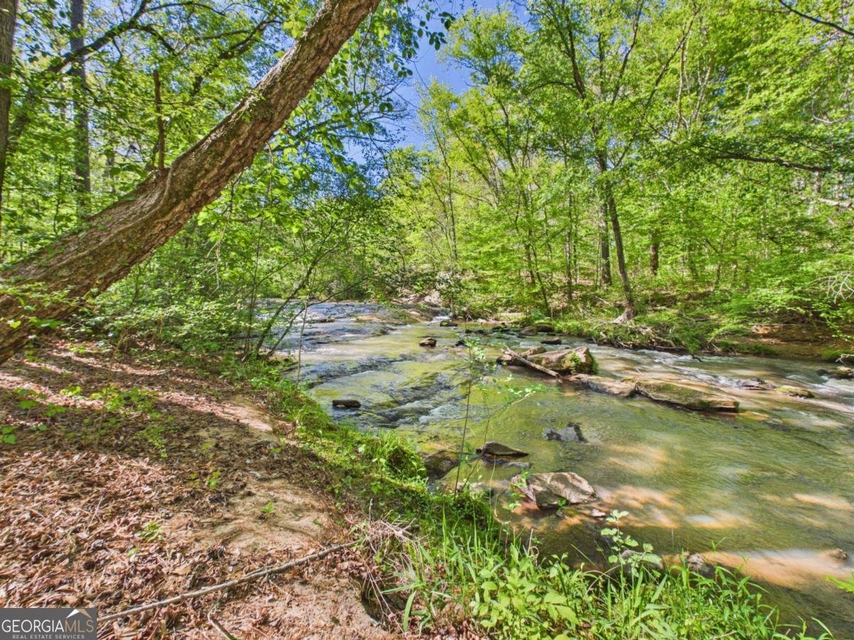 1120 Laurel Pointe Watkinsville - Photo 50