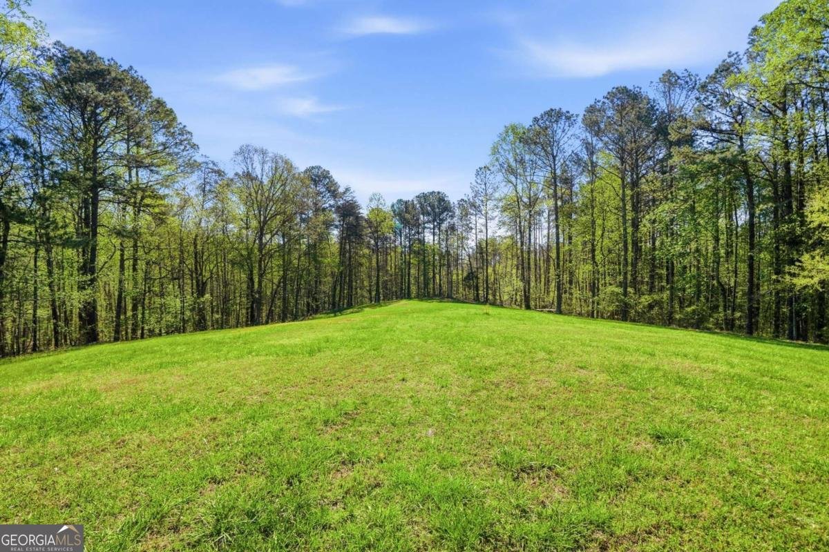 3060 Cherry Grove Road Ball Ground - Photo 61