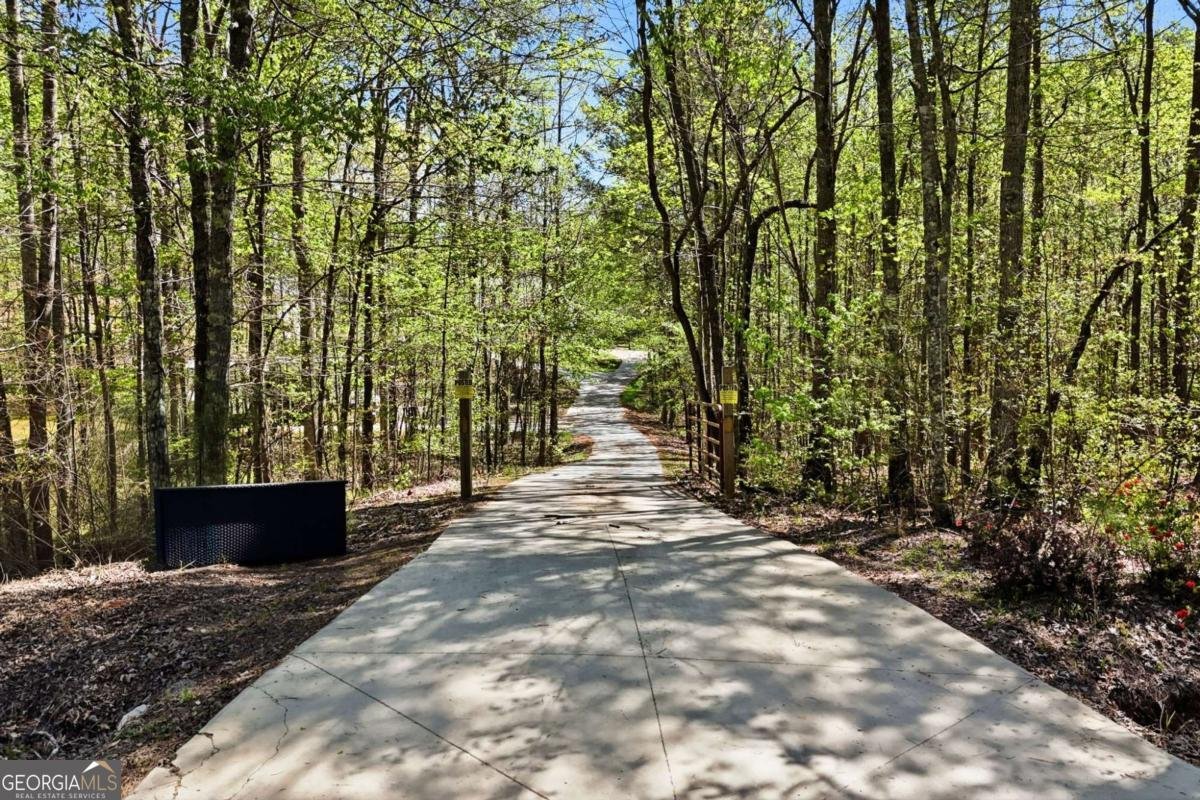 3060 Cherry Grove Road Ball Ground - Photo 62