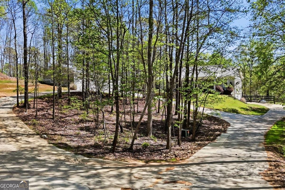 3060 Cherry Grove Road Ball Ground - Photo 63