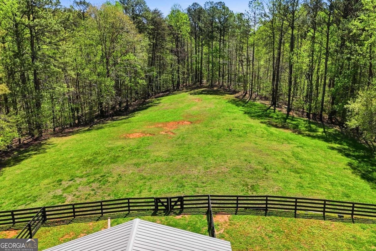 3060 Cherry Grove Road Ball Ground - Photo 68