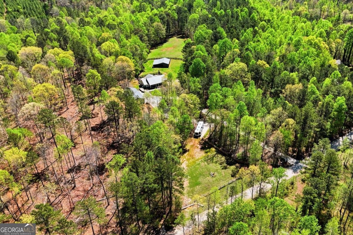 3060 Cherry Grove Road Ball Ground - Photo 69