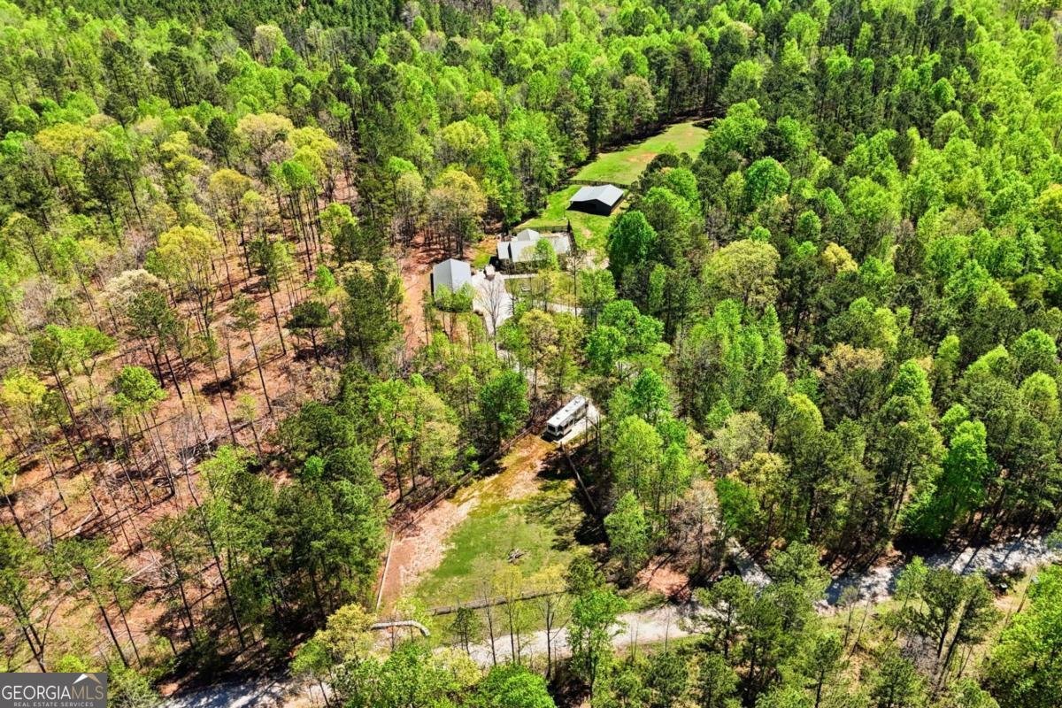 3060 Cherry Grove Road Ball Ground - Photo 71