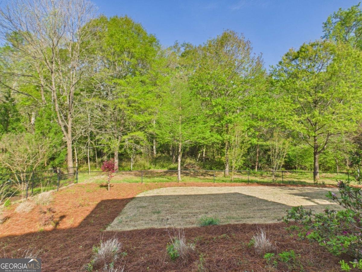 1150 Colorado Bend Watkinsville - Photo 44
