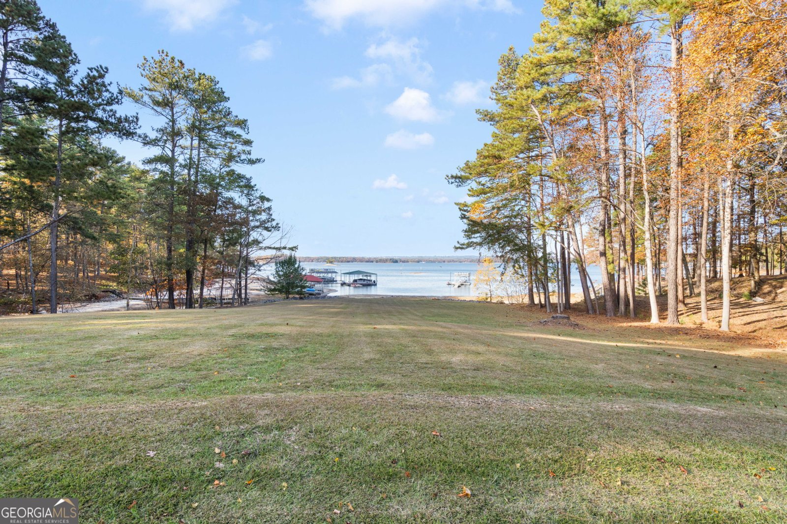 6091 GC Crow Road Flowery Branch - Photo 86