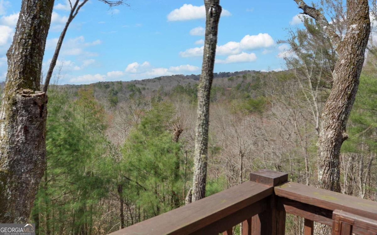 566 Mountain View Circle Blue Ridge - Photo 21