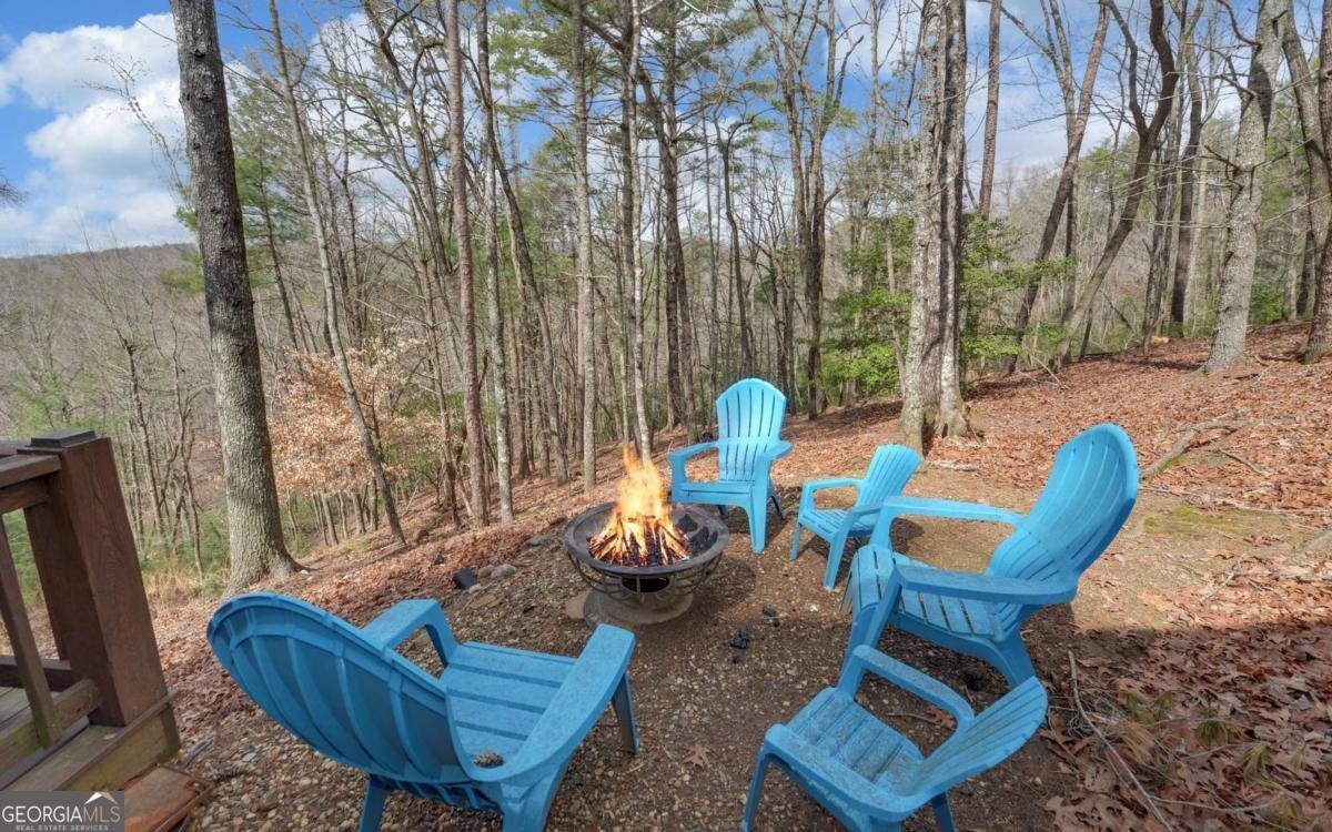 566 Mountain View Circle Blue Ridge - Photo 42