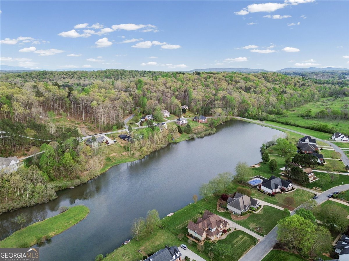 45 Sequoyah Trail Ringgold - Photo 35