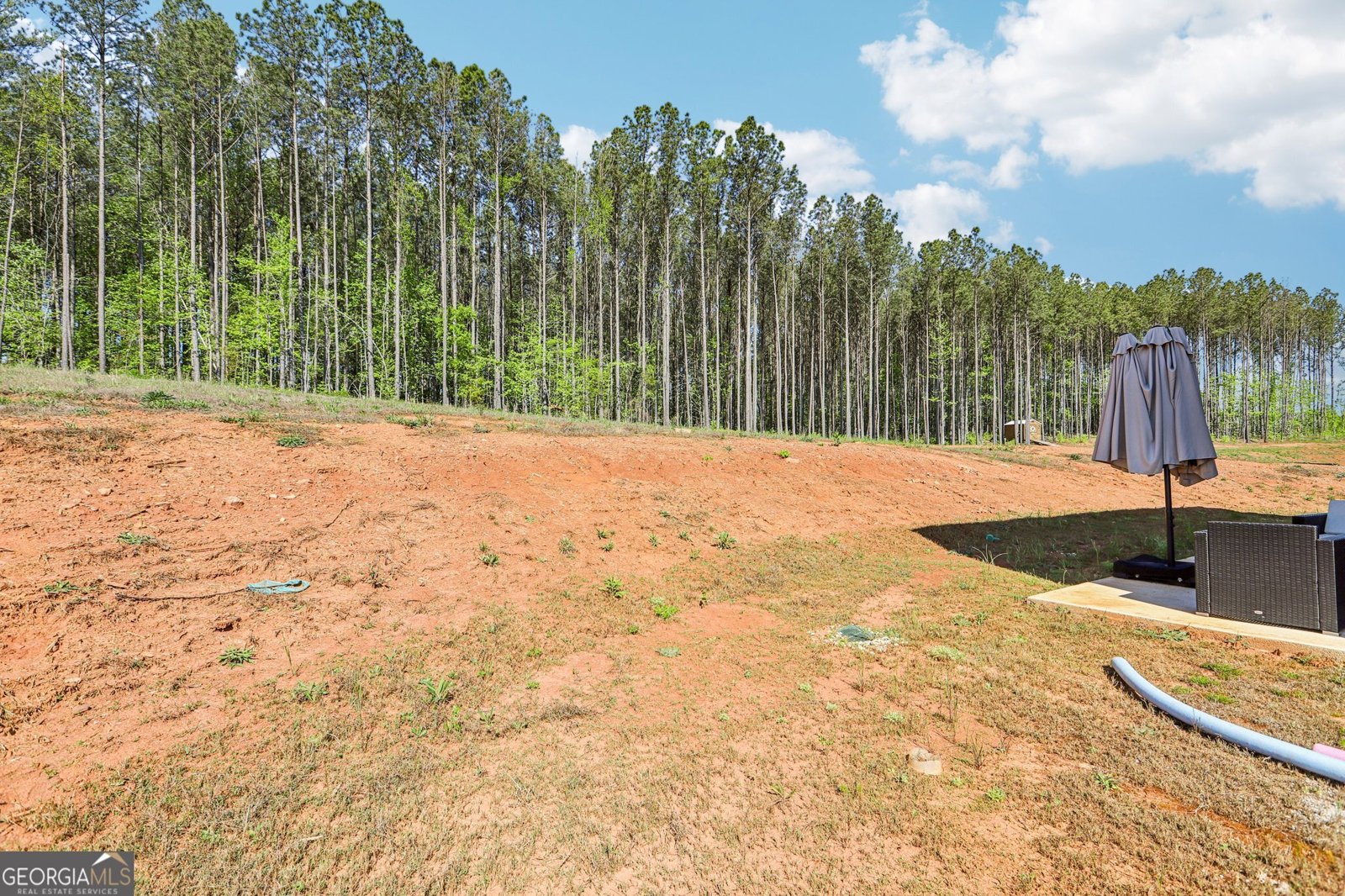 1419 Hunter Welch Parkway Luthersville - Photo 32