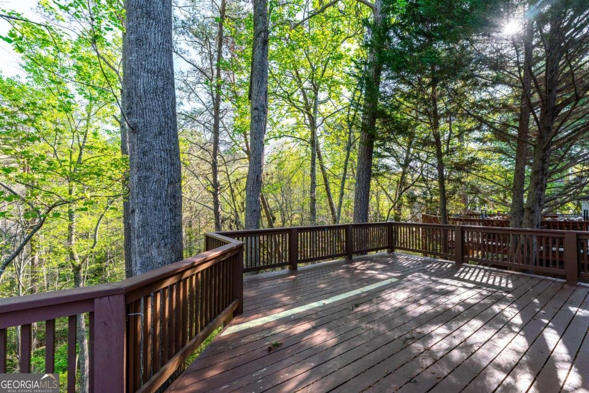 204 Lakeside Drive Waleska - Photo 34